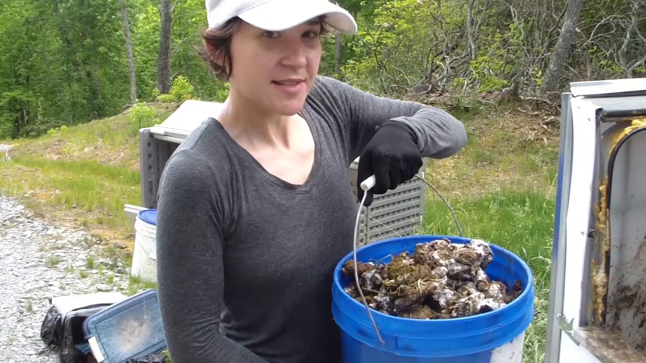 Composting Dog Waste: Starting a New Batch | Pet Poo Skiddoo