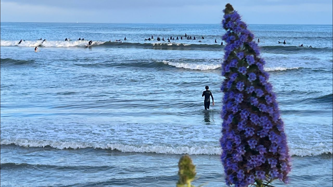 Doheny State Beach
