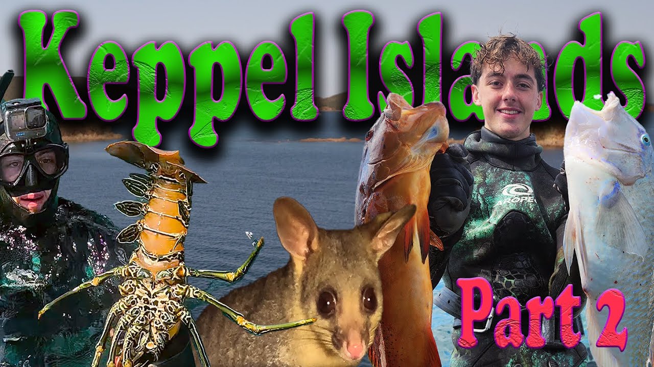 Camping from the boat in paradise at the Keppel Islands Queensland Australia part 2 trout crayfish