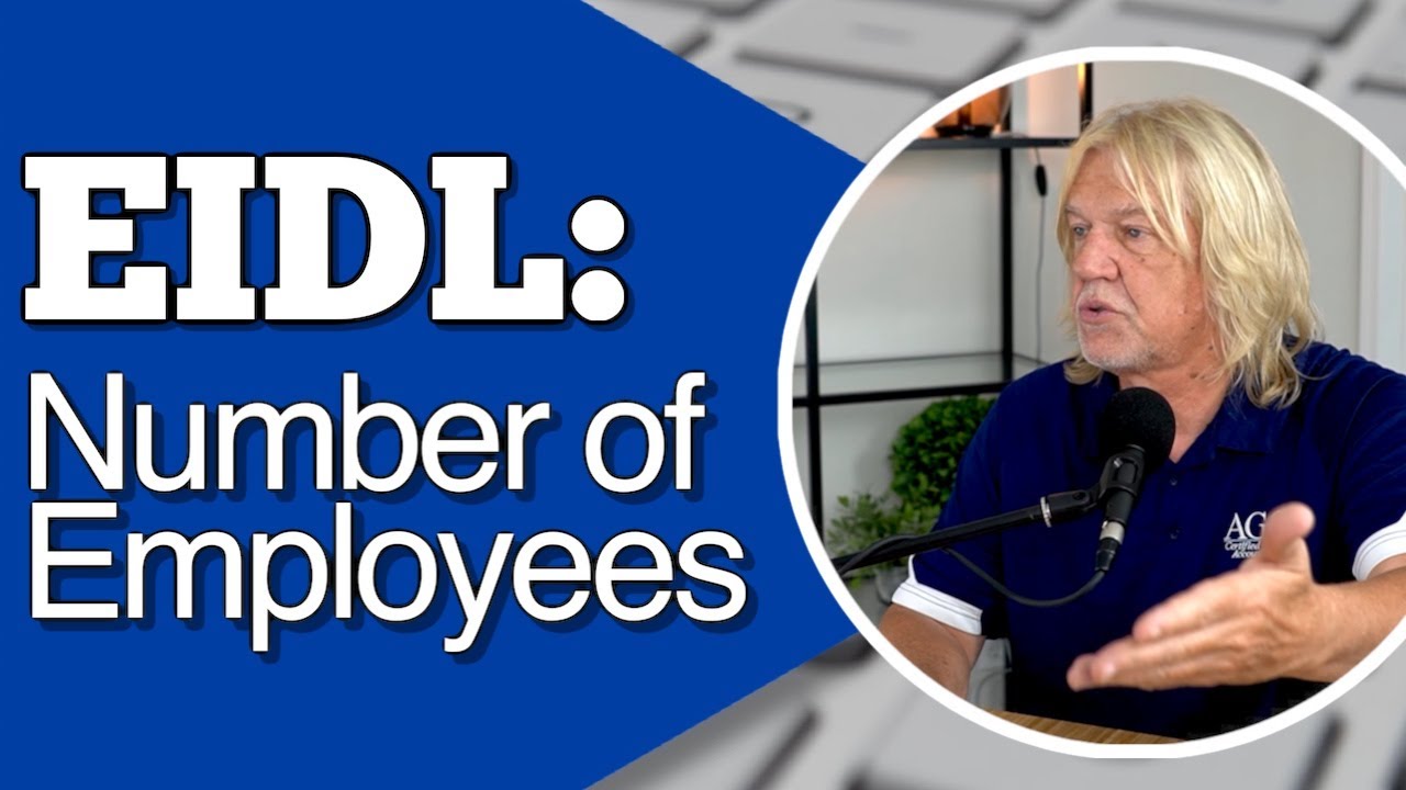 EIDL Application: If You Have NO EMPLOYEES How do you Fill Out the Application