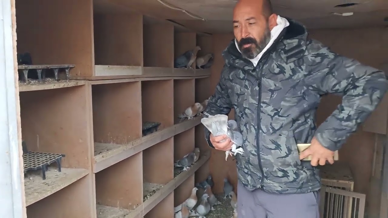 UZUN metrajlı seven bu kuşları kacırmıcak pazar saat 21.30 da görüşmek üzere