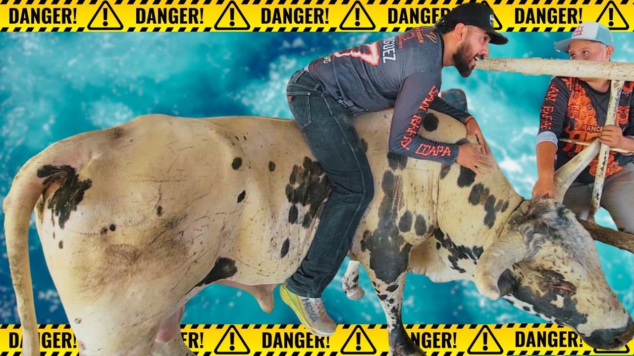 EL TORO mas PELIGROSO pero TAMBIÉN El mas manso 
