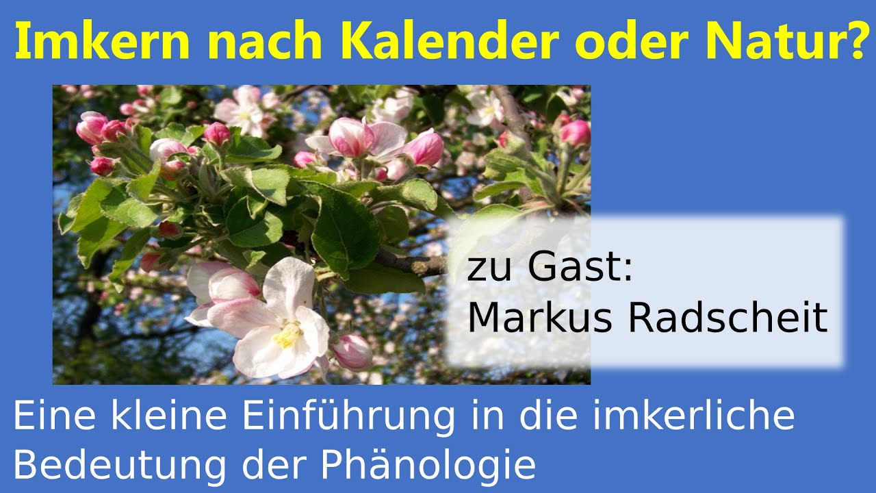 Phänologie für Imker