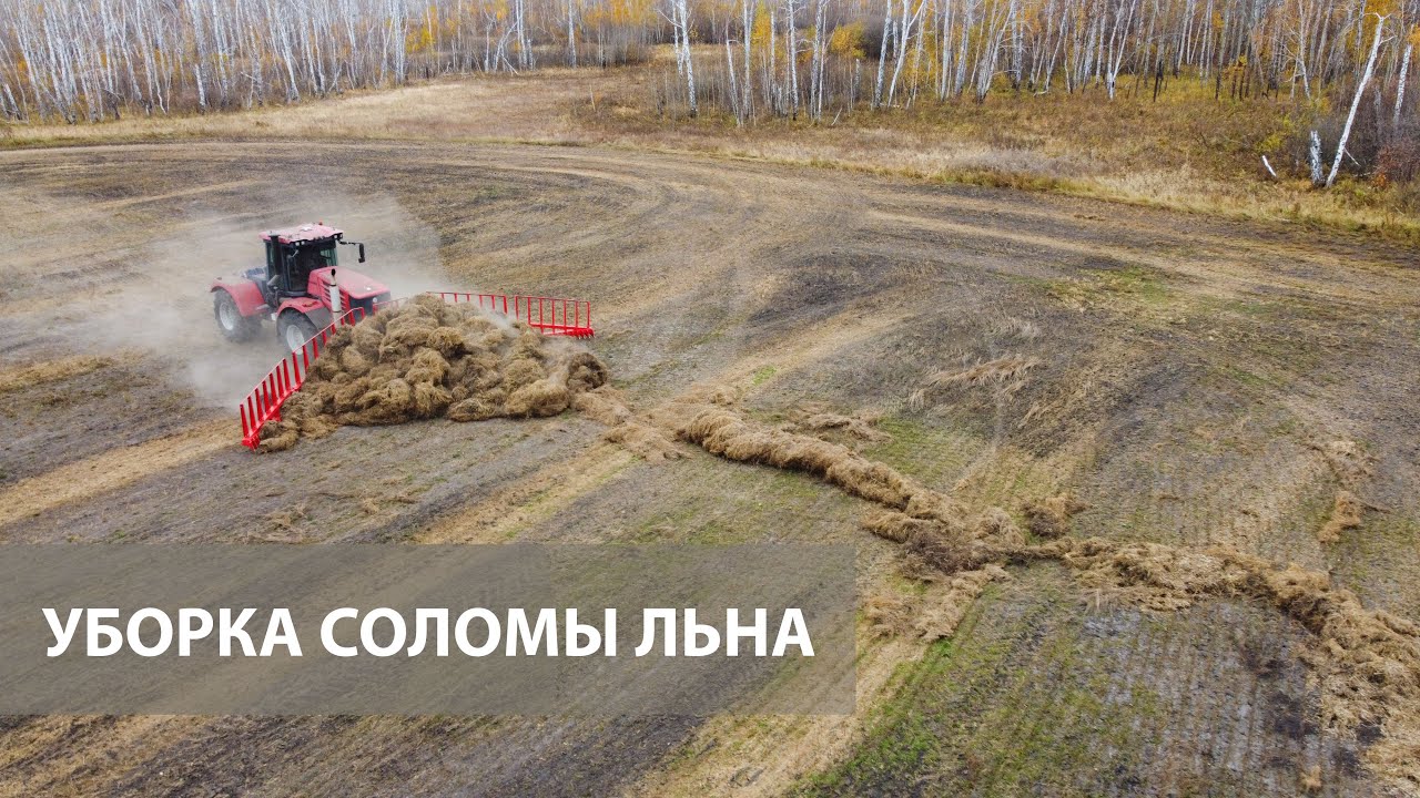 Убираем солому льна с поля. Бороной СоломМастер и Волокушой от компании Willock Farm