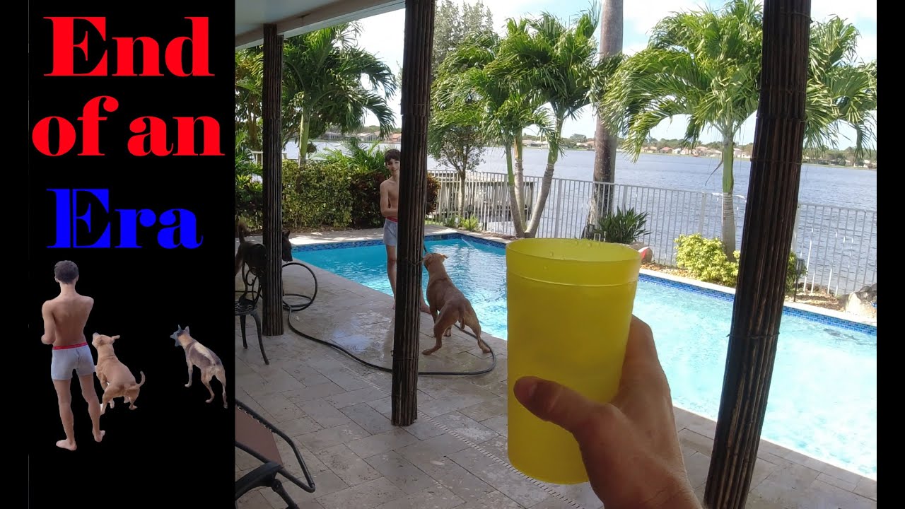 We miss the pool: Last video of Pool Fun!