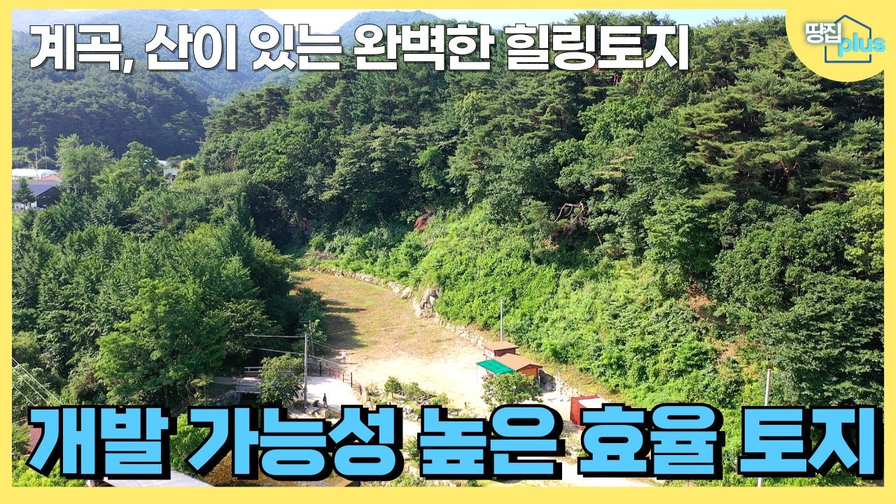 시원한 나무그늘이 토지를 덮고 풍부한 수량의 계곡이 앞으로 흐르는 토지. 진정한 힐링 토지.