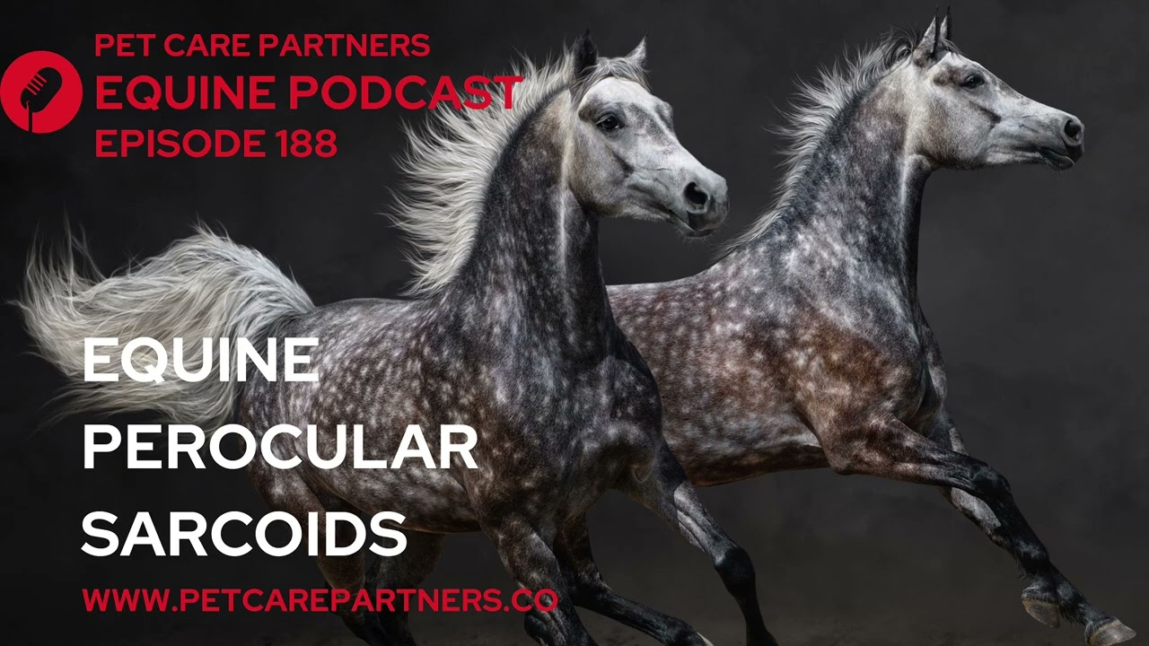 EP. 188: Periocular Sarcoids in Horses: Diagnosis & Management | Pet Care Partners