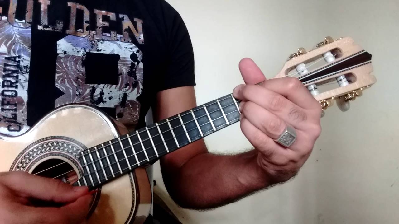 Fundo de Quintal - Minhas Andanças #TocandoNoFundoDoQuintal