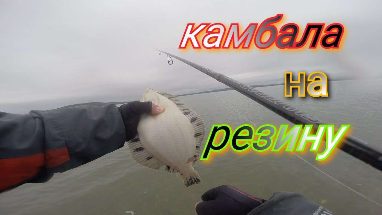 Камбала с берега на резину от Батона!