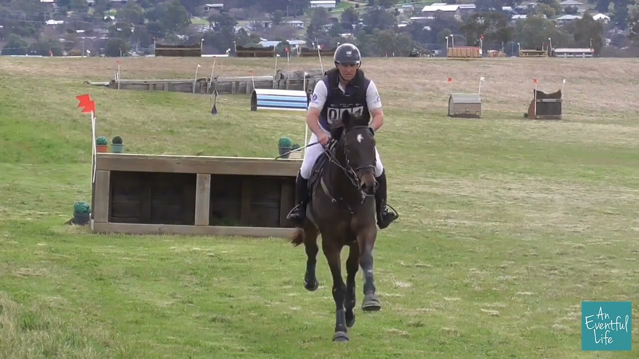 Andrew Barnett on Chasing Great at Quirindi Eventing CCI 2025