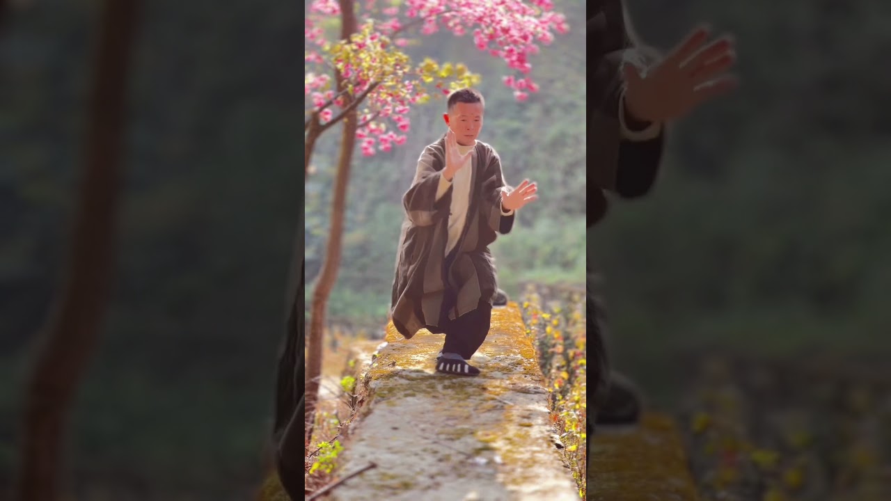 [Daoist Tai Chi] Embark on the Journey to the Healthiest Exercise: Uncovering the Ultimate Secrets