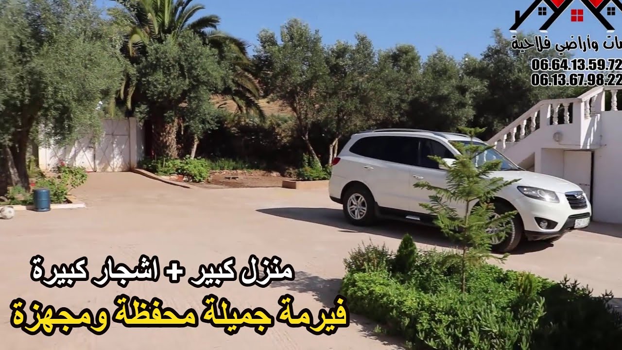 ✨فيرمة 2 هكتارات على الطريق المعبدة مجهزة بالكامل ذات تربة خصبة واشجار الزيتون ✨ تيفلت