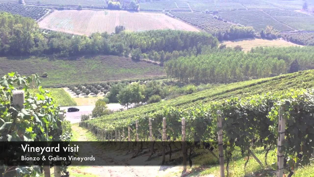 LaSpinetta - Lunch & Vineyard Tour