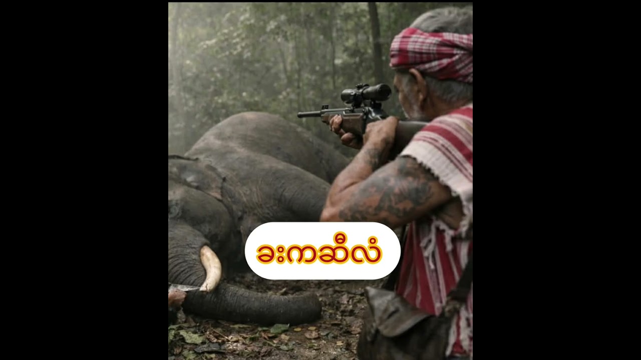Part. 5. မိၤဆိဖါယီၢ်ထုးဒီးမိၤဆိဖါဆှူဖျီး