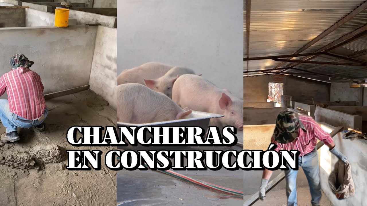 COMO CONSTRU&Iacute;R CHANCHERAS | Don Jos&eacute;