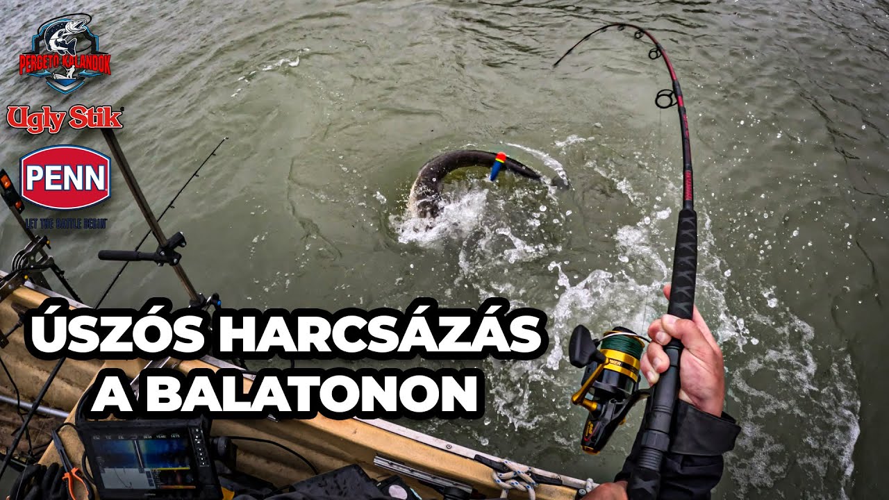 Úszós Harcsázás a Balatonon (tavasz)