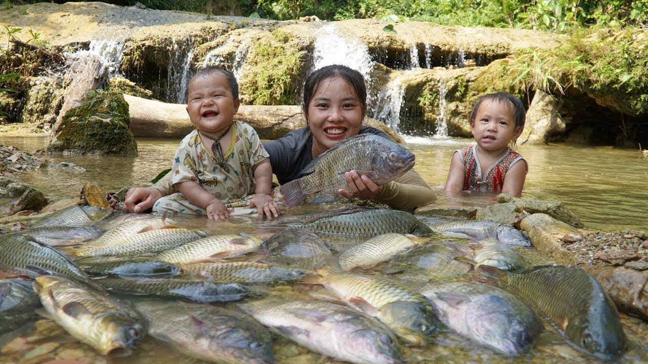 88 Day full  Single mother How to harvest wild fish from puddles to sell at the market