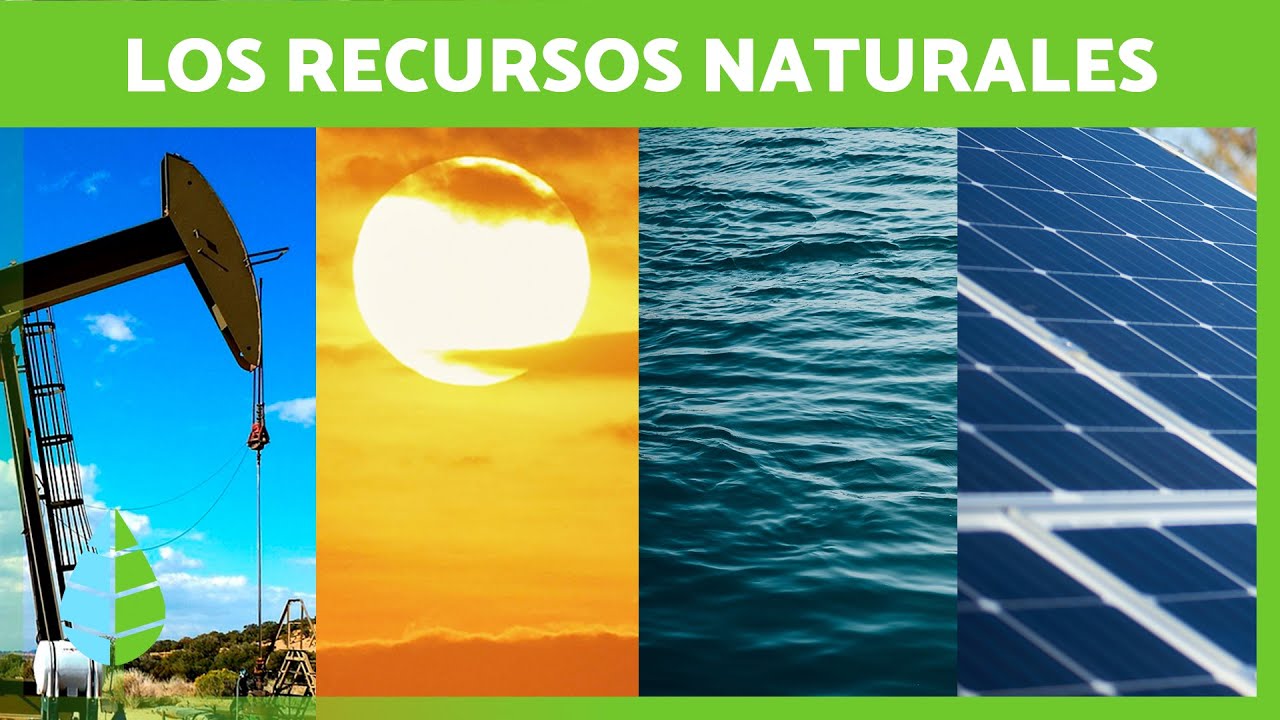 &iquest;Qu&eacute; son los RECURSOS NATURALES? ☀️💧 (Definici&oacute;n, Clasificaci&oacute;n y Ejemplos)