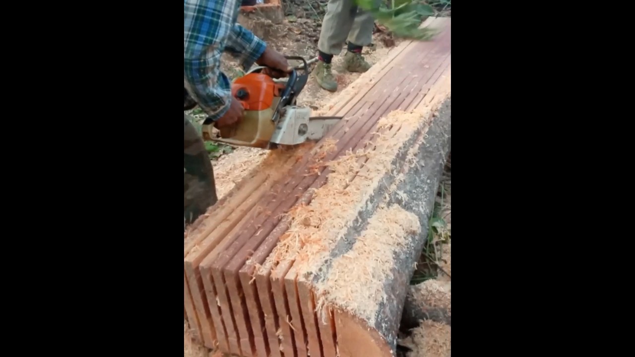 Stihl Chainsaw Best Wood Cutting Board Size With Good Result #stihlms382
