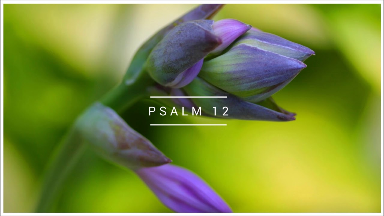 Psalm 12 Biblia warszawska