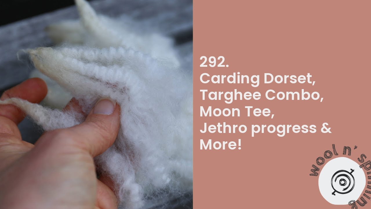 Carding Dorset, Targhee Combo, Moon Tee & More! | Wool n' Spinning, ep. 292
