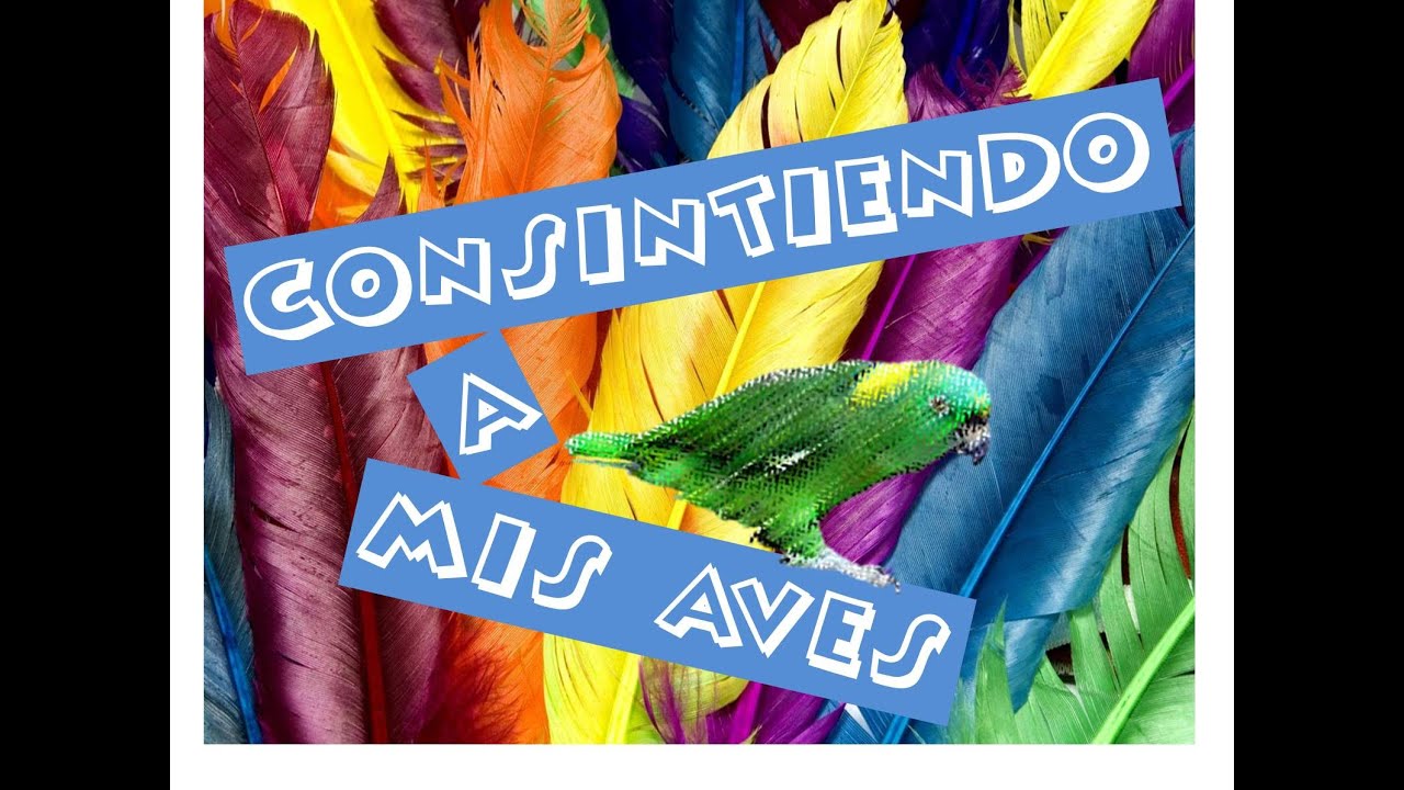 ALIMENTO CASERO PARA MIS AVES  /Loros / Cotorros / Periquitos
