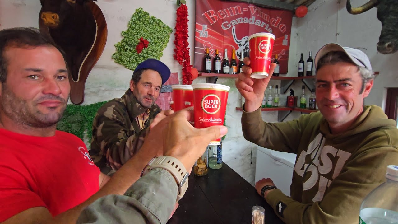 Olé Toiro, castanhas e vinho