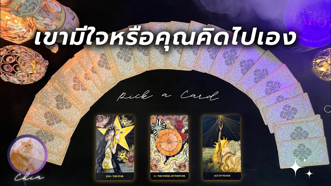 Pick a card เขามีใจหรือคุณคิดไปเอง มีโอกาสพัฒนาความสัมพันธ์หรือไม่