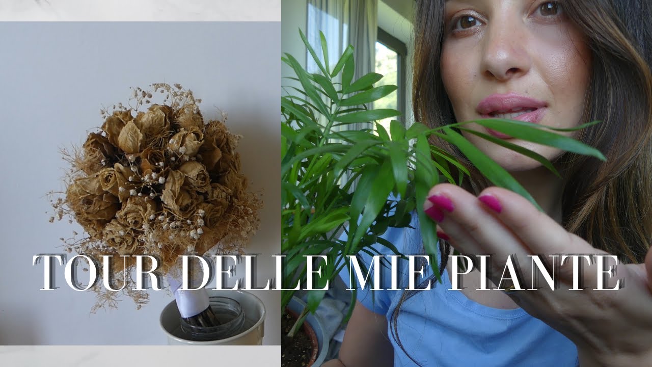 ASMR BENVENUTO NELLA MIA OASI VERDE 🪴🍃 | Show & Tell