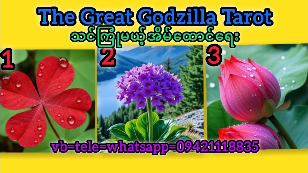 သင်ကြုံမယ့်အိမ်ထောင်ရေး💐💐💐💐