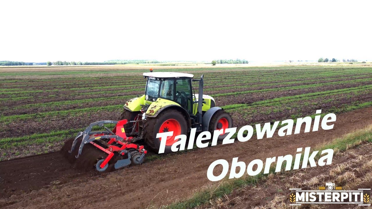 Talerzowanie obornika / Claas Arion 640 / Unia Ares 3L