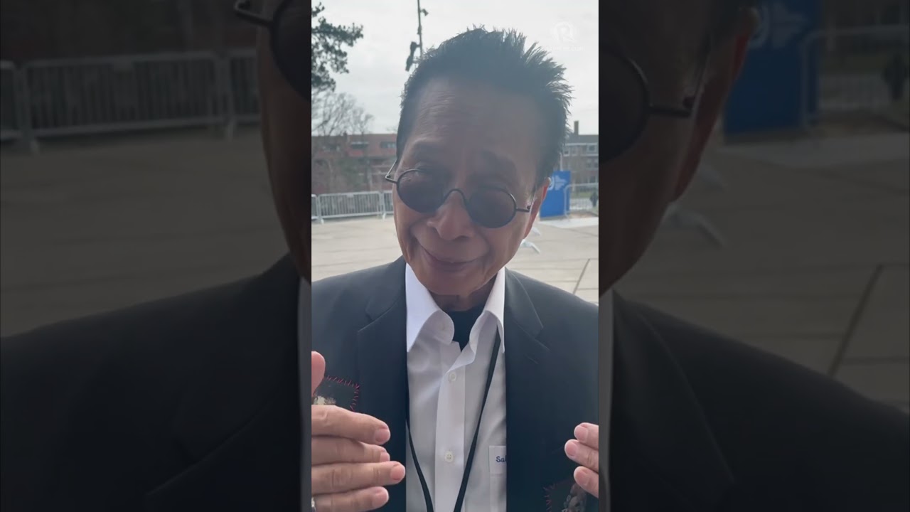 Panelo: Kaufman 'did well' in first day of ICC pre-trial hearing