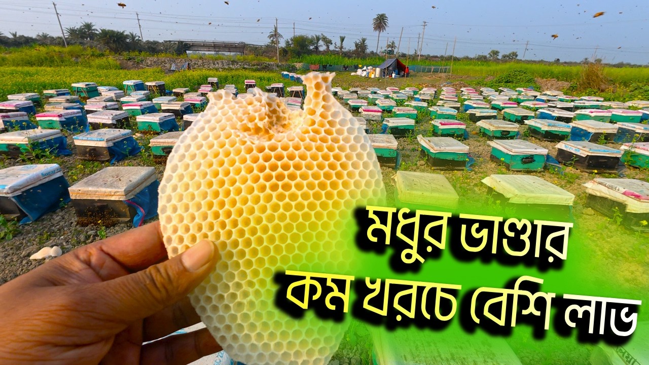 মধু ভান্ডার, মাঠের উপরি ফসল । Huney Harvest From the Field