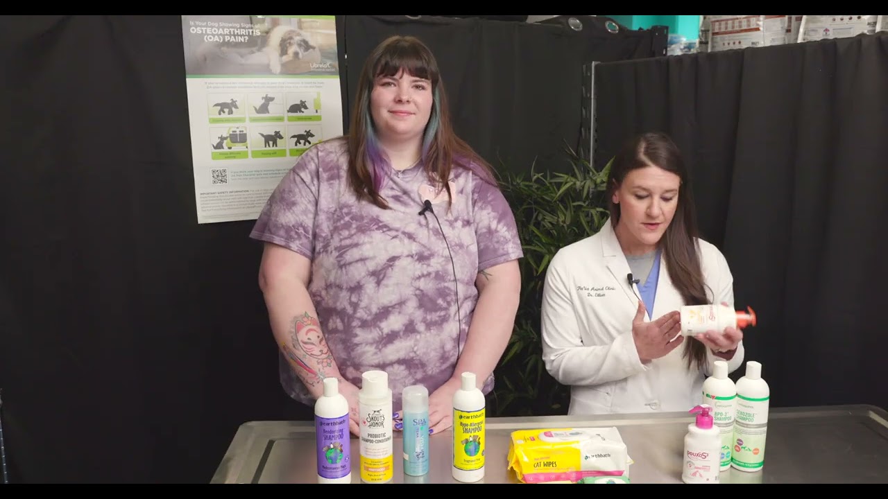 Pet Talk | How to Choose the Best Shampoo for Your Pet: Vet & Groomer Tips
