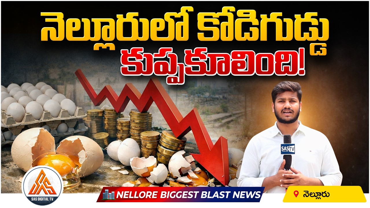 Egg Prices Crash in Nellore! | SASTv