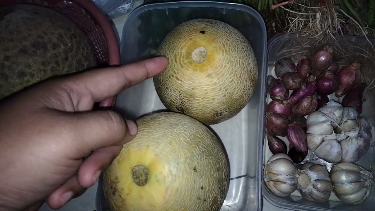Belanja sayur mingguan bajet 200k  Alhamdulillah jngn lupa teman teman like komen dan subscribe ☺️🙏