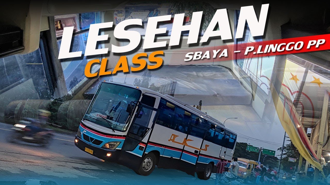 KELAS BARU UNTUK BUMEL TAPAL KUDA INI !! BENER-BENER UNIK BANGET BIS INI 🤩🤩