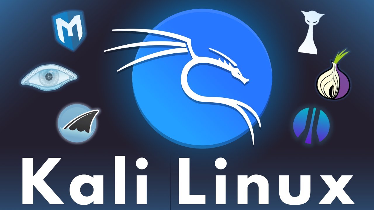 Kali Linux: объяснение за 100 секунд