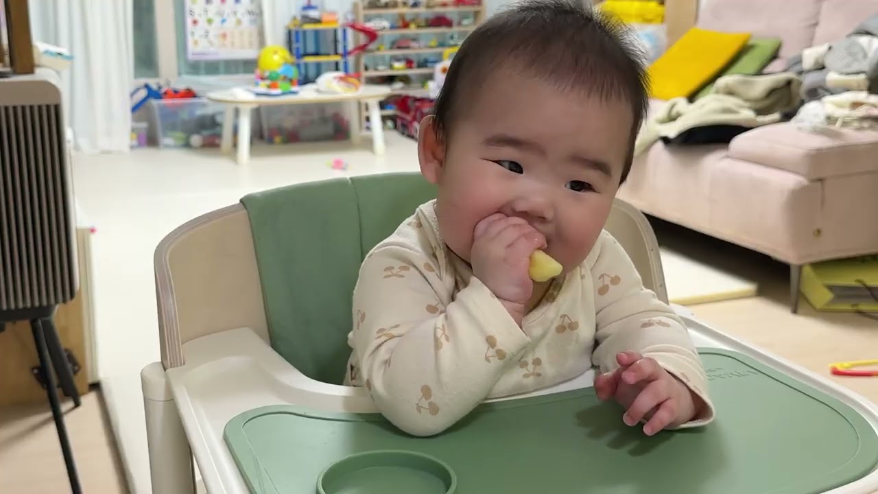 인생6개월차 첫 사과 / 사과치발기 / 사과칫솔로쓰는 6개월아기