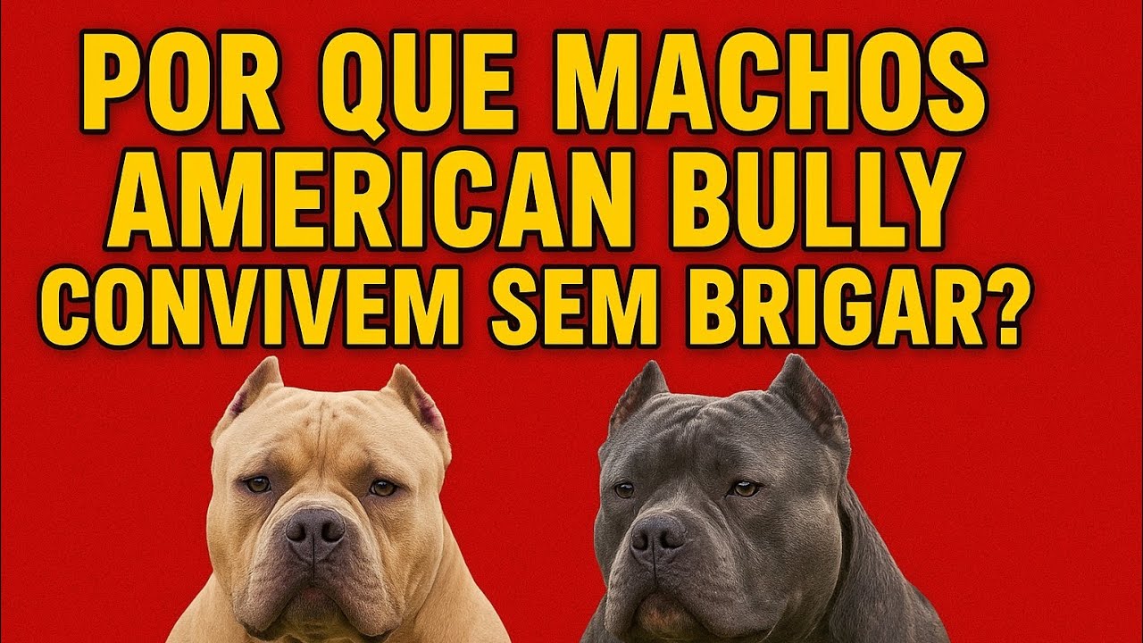 NINGUÉM TE CONTA COMO MANTER 2 MACHOS JUNTOS COM FÊMEAS E TODOS SOLTOS KKK AQUI ISSO É  MOLE 