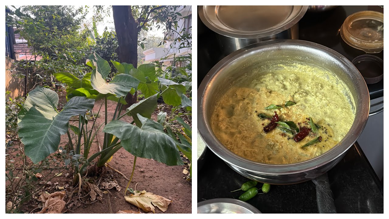 താള്  കൂട്ടാൻ 