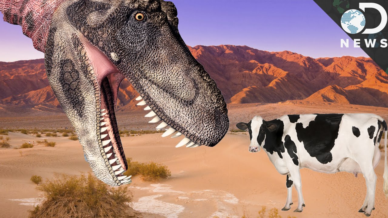 Why Aren't Modern Animals As Large As Dinosaurs?
