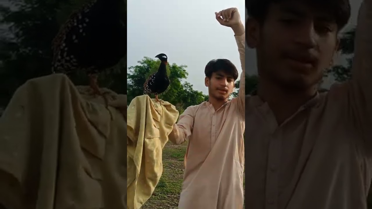 kala teeter ki awaz