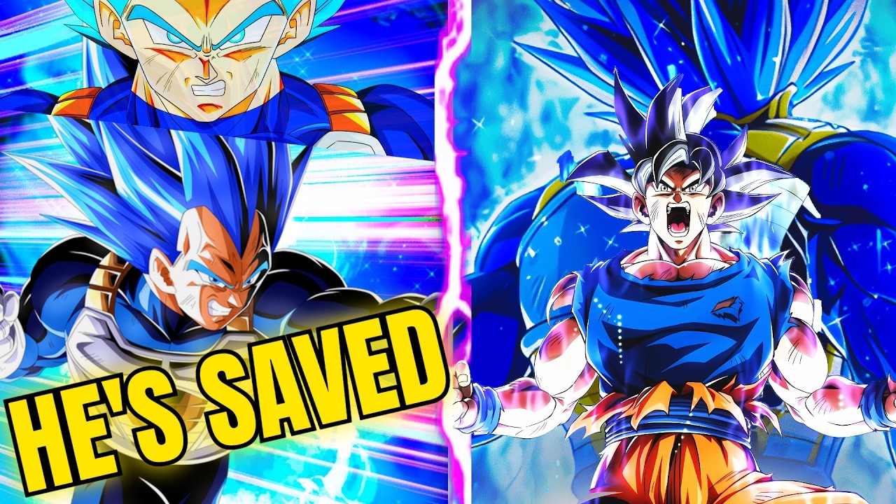 DOES 11TH ANNIVERSARY LR ULTRA INSTINCT GOKU SAVE STR EVOLUTION BLUE VEGETA? (Dokkan Battle)