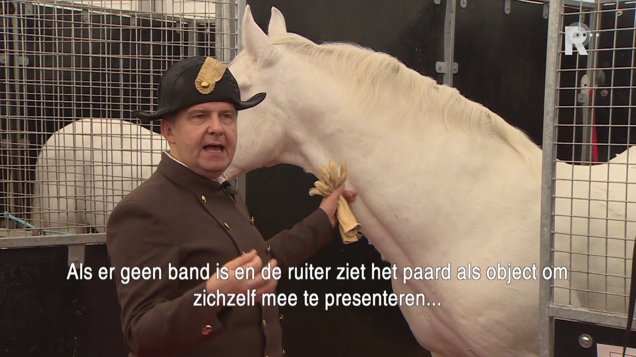 Uniek paardenballet in Rotterdam Ahoy