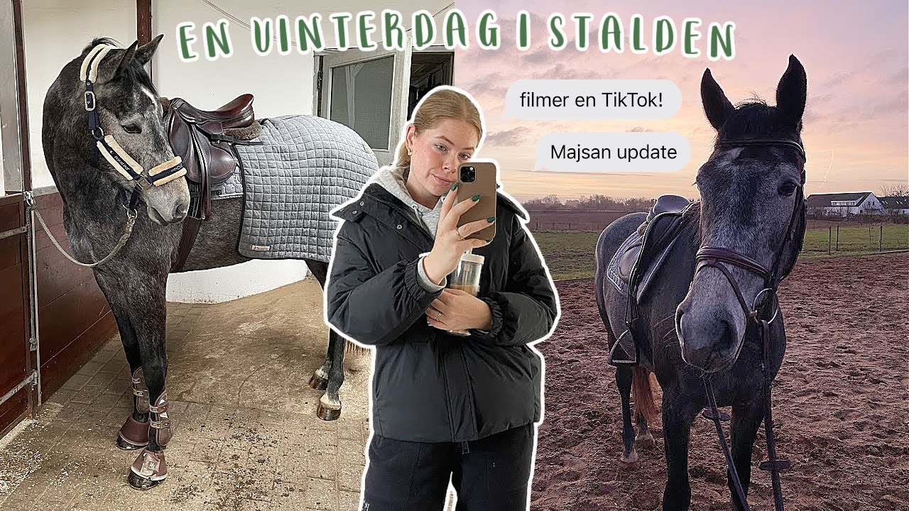 EN DAG I MIT HESTELIV *vlog*