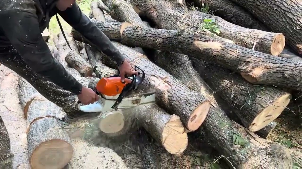 Monster Logs vs STIHL Power