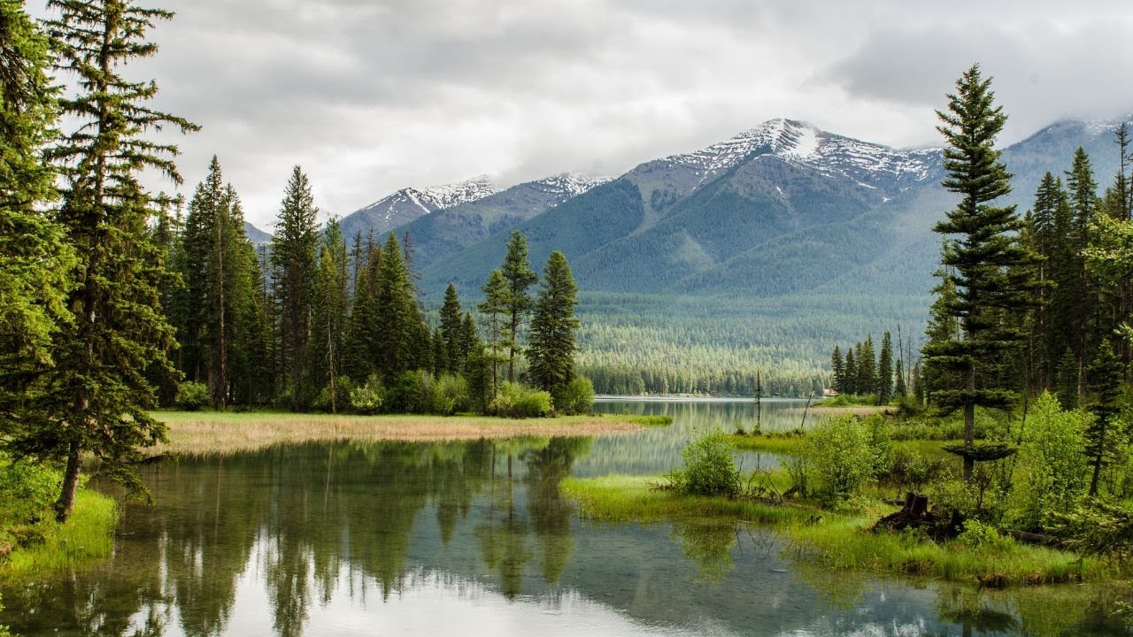 Reduce anxiety and stress by listening the RELAXING MUSIC with amazing nature scenes | #musicforlife