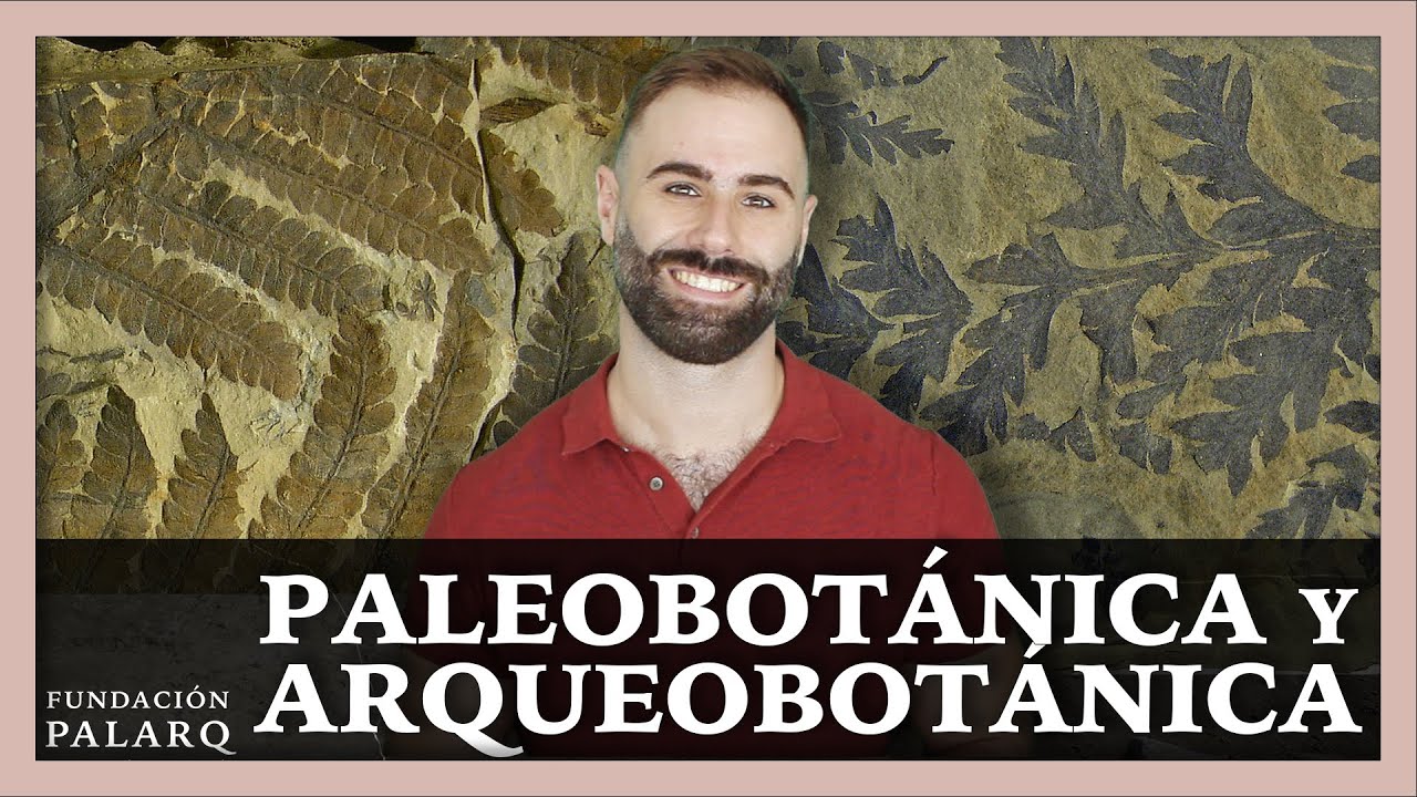 💐 La importancia de la Paleobotánica y la Arqueobotánica