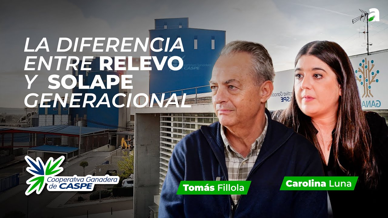El PORCINO es una BUENA FORMA de FIJAR POBLACIÓN | Generaciones Ep. 1 Temp.2